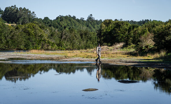 A man walks carefully through the shallow river water, heading toward his fishing spot. - Powered by Adobe