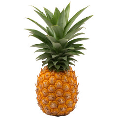 Ripe pineapple fruit isolated on alpha background