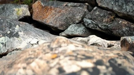 Closeup of textured camouflage fabric with abstract pattern, earth tone palette suitable for hunting apparel and outdoor recreation gear design. - Powered by Adobe