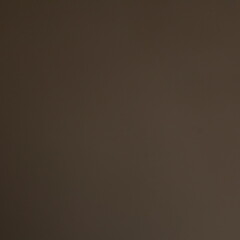 Muted Brown-Gray Gradient Background