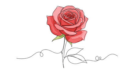 Rose &ndash; dessin doodle en une ligne avec remplissage aquarelle, illustration vectorielle minimaliste sur fond blanc