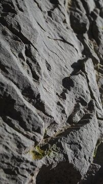 Dark grey rock face showing moss and cracks close up