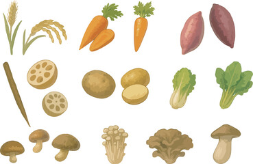Autumn Vegetables and Mushrooms Illustration Set – Watercolor Style Seasonal Produce