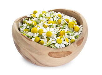 Beautiful chamomile flowers in bowl isolated on white