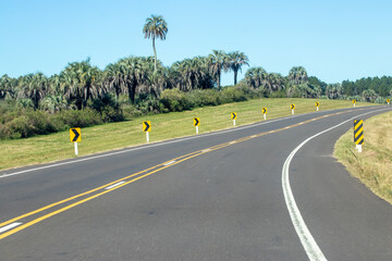 Palmeras en la curva de una ruta