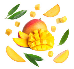 Tasty fresh mango fruits and green leaves on white background, collage