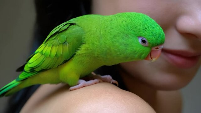 Close-up of green parrot perched on a woman's shoulder, bonding, affection, pet. Woman and pet parrot love, trust.