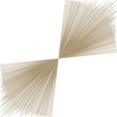 Abstract flat graphic is forming X-like shape with radial beige line fans on transparent background