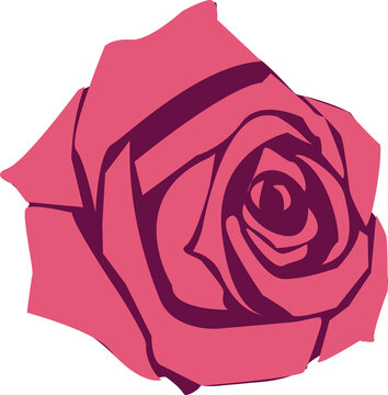 Fototapeta Stylized rose is showing pink geometric petals in flat style on transparent background
