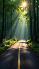 Fototapeta premium Dark asphalt ribbon cuts through sun-dappled forest , green, road, surface