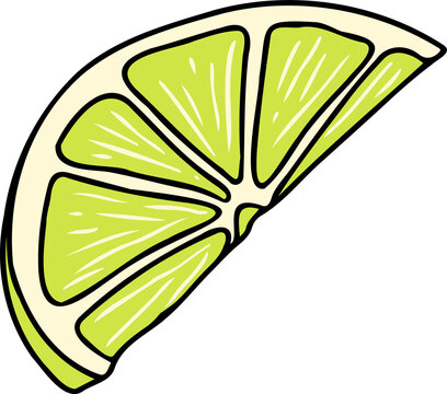 Stylized lime wedge is showing curved rind and segmented pulp in vector art on transparent backdrop