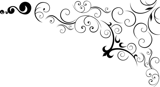 Fototapeta Flat design swirl vine corner scrolls are extending along top right edges on transparent background