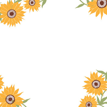 Fototapeta Sunflower blooms are forming decorative flat design border on transparent canvas, copy space