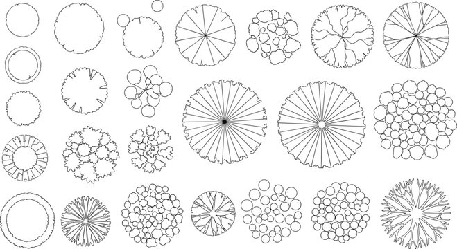 Vector tree top view isolated on white background for landscape plan and architecture layout drawing, elements for environment and garden, cad