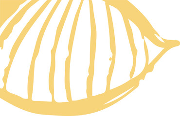 Floating vector pale yellow scallop shell showing curved ribs and tip on transparent background