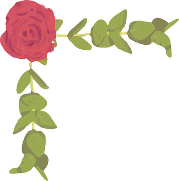 Fototapeta Vector design showing red rose bloom with pale stems and foliage in corner, transparent background