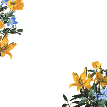 Fototapeta Flat style corners are showing yellow lilies and blue blossoms, foliage on transparent, copy space