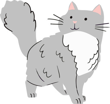 Fototapeta Grey cat is standing angled with fluffy tail in cartoon style on transparent background, copy space
