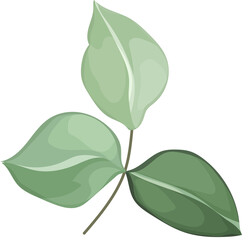 Displaying three stylized green leaves on brown stem in flat design on transparent background