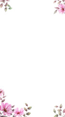 Watercolor pink blooms and green leaves are framing center on transparent background, copy space