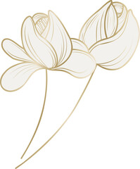 Two stylized blossoms are floating on transparent minimal canvas with gilded petals and stems