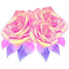 Flat vector featuring rose trio with pink gradient petals and violet leaves, transparent background