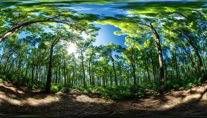 Naklejka premium Lush forest canopy with sunlight filtering through the trees.