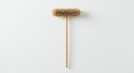 Tan cleaning brush isolated