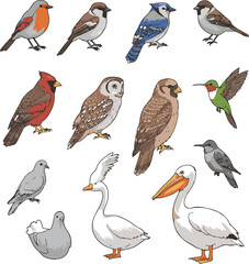 Fototapeta premium seamless pattern with birds
