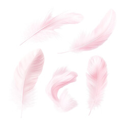 Obraz premium Five delicate pink feathers floating, isolated on transparent background, elegant and airy, perfect for design projects, showcasing softness and lightness, ideal for