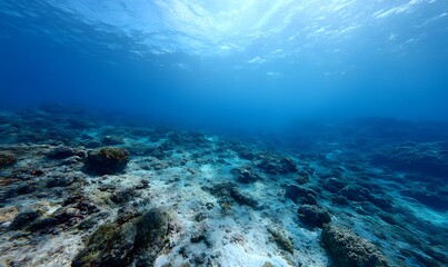 Fototapeta premium low angle from the sea bed look across a vast coral reef deep in the ocean with no visible surface and heavy blue fog, Generative AI