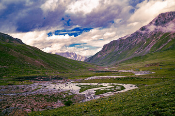 Spring in the mountains. Panoramic view of Sonmarg, Kashmir valley in the Himalayan region. Serene meadows, alpine trees, wildflowers on the trails of The Great Lake of Kashmir Trek, 2022. 