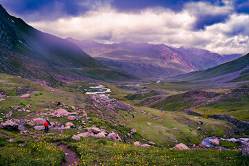 Meadow with flowers. Panoramic view of Sonmarg, Kashmir valley in the Himalayan region. Serene meadows, alpine trees, wildflowers on the trails of The Great Lake of Kashmir Trek, 2022. 