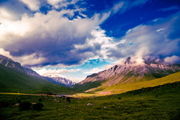 Mountain landscape with clouds. Panoramic view of Sonmarg, Kashmir valley in the Himalayan region. Serene meadows, alpine trees, wildflowers on the trails of The Great Lake of Kashmir Trek, 2022. 