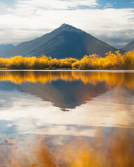 Yellow autumn trees reflecting off a lake in the mountains.