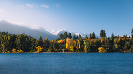 autumn trees on an island in the middle of a lake in Queenstown, New Zealand.