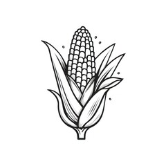 Hand-Drawn Illustration of Corn on the Cob A Detailed Line Art Design