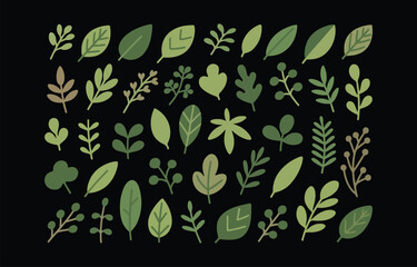 Collection of diverse green leaves and branches for design projects