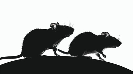 Obraz premium Rats silhouette isolated in White background