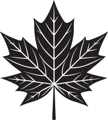 Obraz premium maple leaf vector icon, logo maple leaf vector, maple leaf vector design