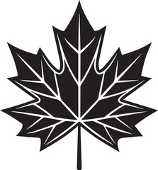Fototapeta premium maple leaf vector icon, logo maple leaf vector, maple leaf vector design