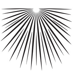 Obraz premium Rays silhouette isolated in White background