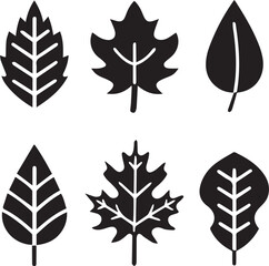 Fototapeta premium leaves silhouette vector set, set of leaves illustration vector, leaves vector black and white