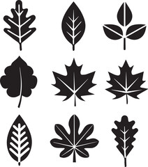 leaves silhouette vector set, set of leaves illustration vector, leaves vector black and white