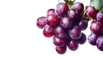 Bunch of red grapes with juicy texture and natural vine detail isolated on white background