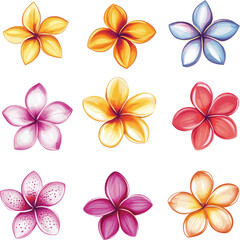 Obraz premium set of frangipani flower petals with different shapes and colors isolated on white background