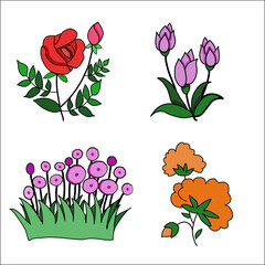 set of vector flowers, Collection of colorful vector flower images.