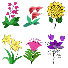 set of vector flowers, Collection of colorful vector flower images.