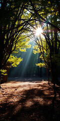 Temple of Silence: The Forest’s Rare Act of Worship