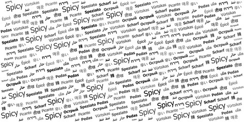 Spicy in Multiple Languages Word Cloud Design